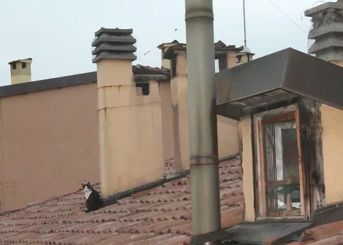 La Soffitta Apartment Bologna